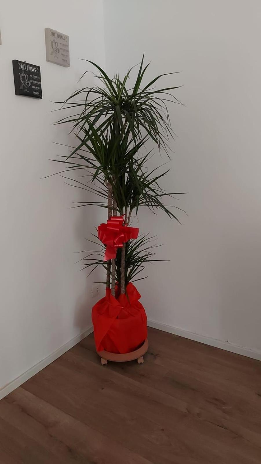 דירות פלרמו A Casa Di Elena מראה חיצוני תמונה