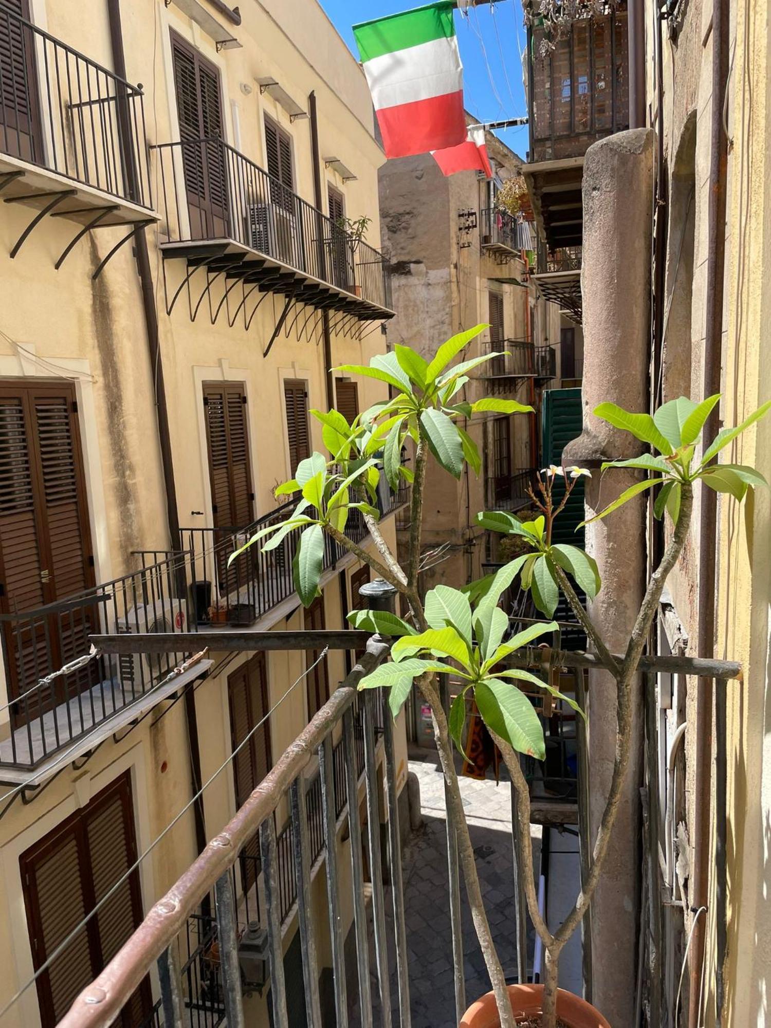 דירות פלרמו A Casa Di Elena מראה חיצוני תמונה